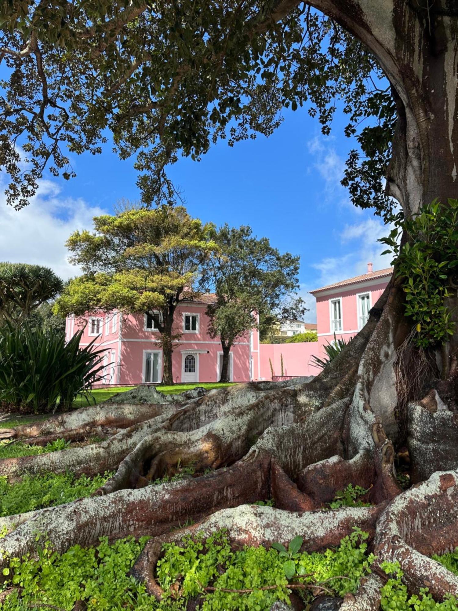 Solar Dos Cantos Botanic House & Garden Ponta Delgada Zewnętrze zdjęcie