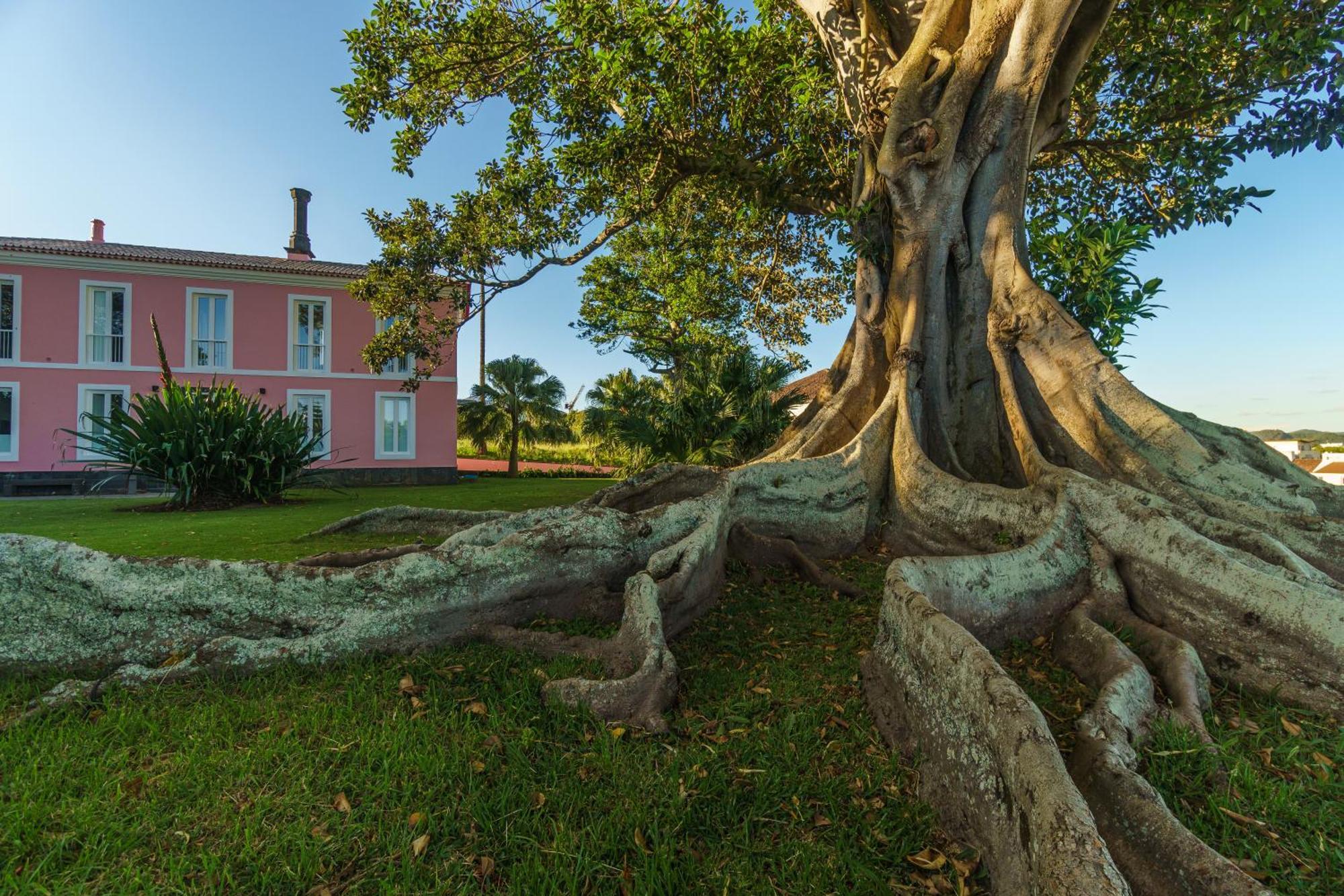Solar Dos Cantos Botanic House & Garden Ponta Delgada Zewnętrze zdjęcie