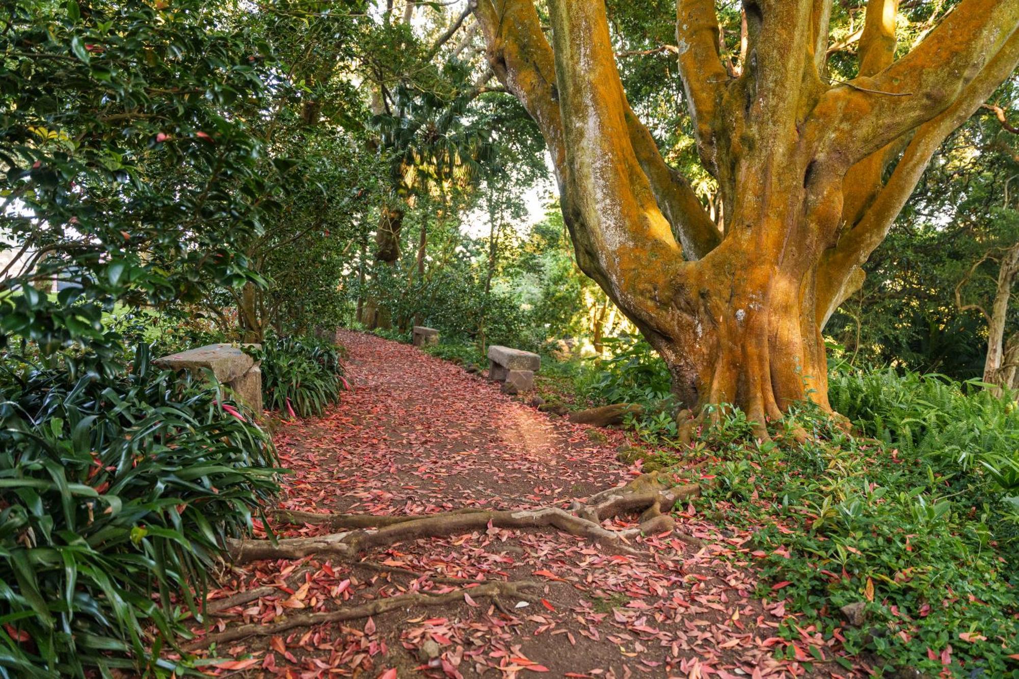 Solar Dos Cantos Botanic House & Garden Ponta Delgada Zewnętrze zdjęcie