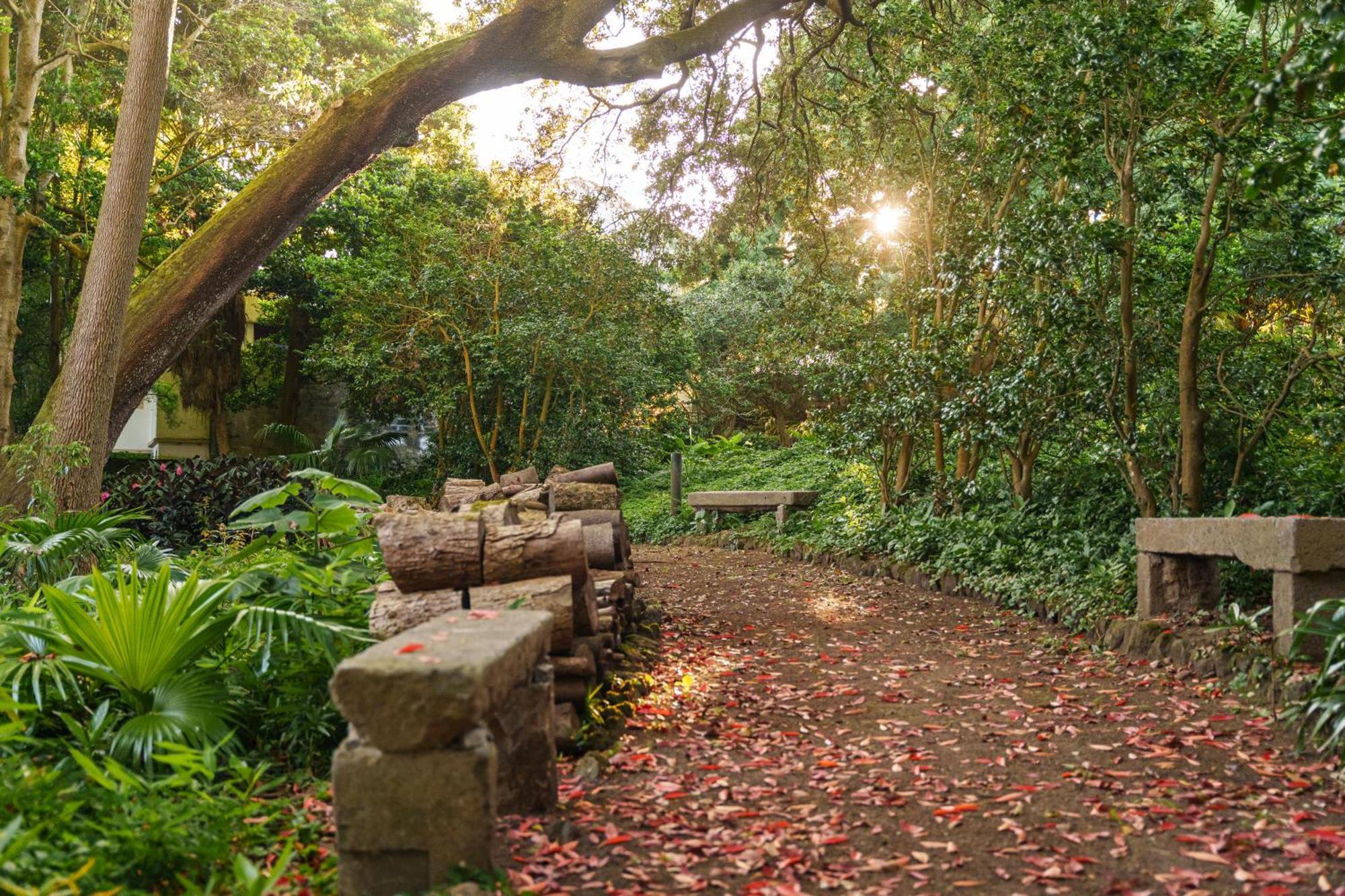 Solar Dos Cantos Botanic House & Garden Ponta Delgada Zewnętrze zdjęcie